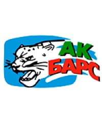 ХК «Ак Барс»