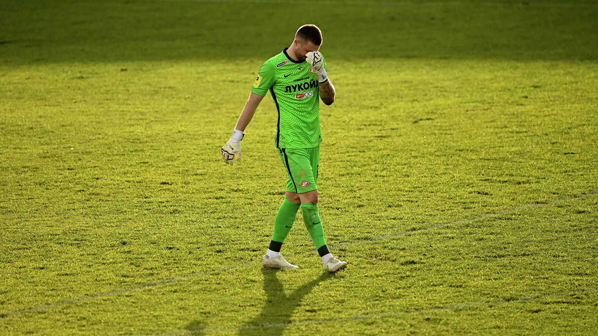 Изображение не найдено