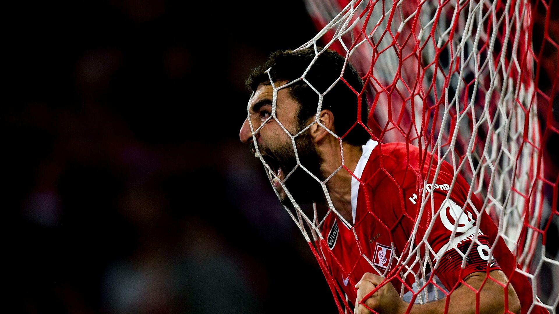 Изображение не найдено