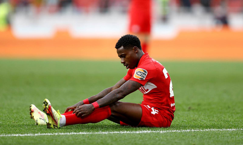 Изображение не найдено